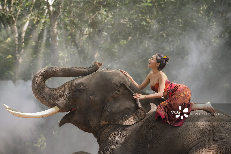 泰国素林，骑大象的妇女图片素材