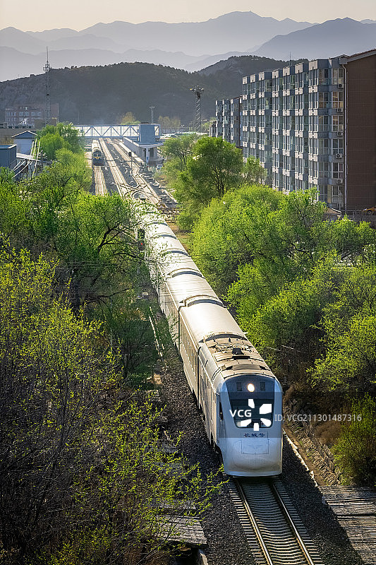 踏春驶来——北京市郊铁路怀密线列车身披金光驶来图片素材