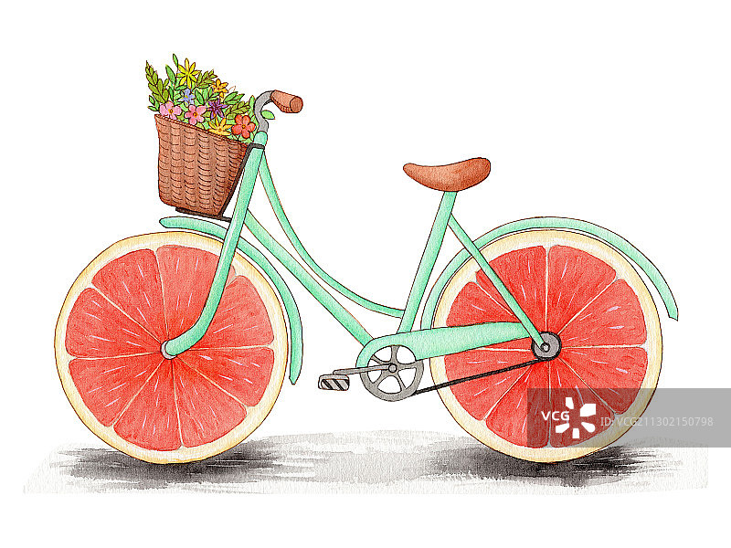 手绘水彩钢笔淡彩水果西柚自行车插画图片素材