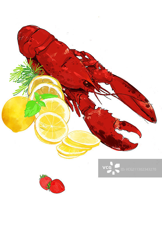 水彩美食插画海鲜贝壳龙虾图片素材