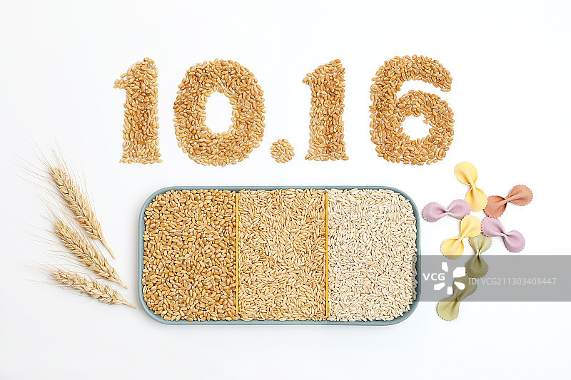 麦粒摆成世界粮食日数字1016图片素材