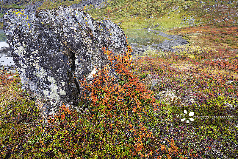 秋天的山景，Kårsavagge，阿比斯科国家公园，诺博顿，拉普兰，瑞典图片素材
