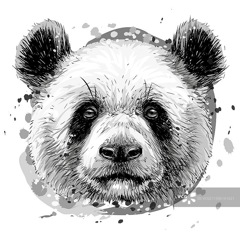 熊猫图形单色手绘人像图片素材