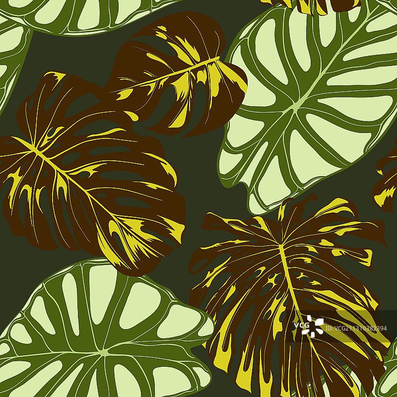 无缝的热带植物奇异图案图片素材