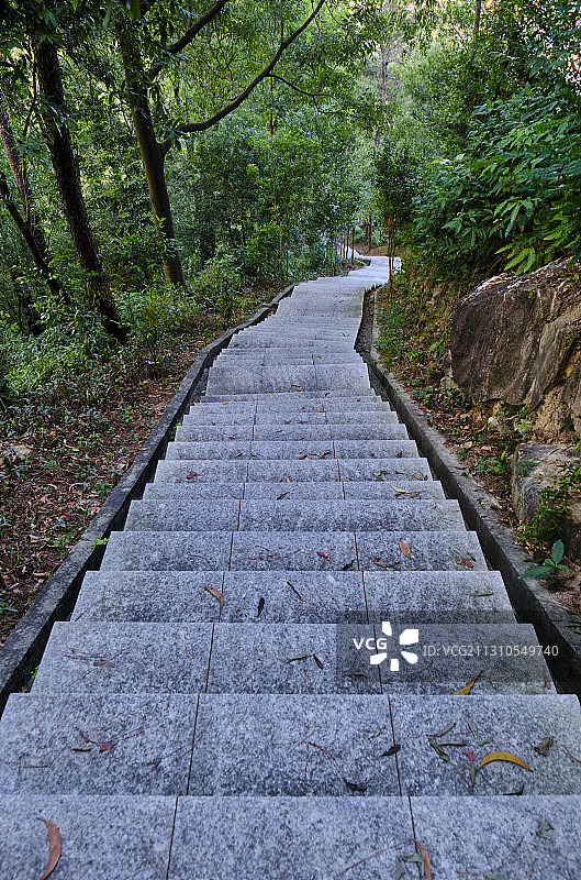 中国广州火炉山森林公园登山石阶道图片素材
