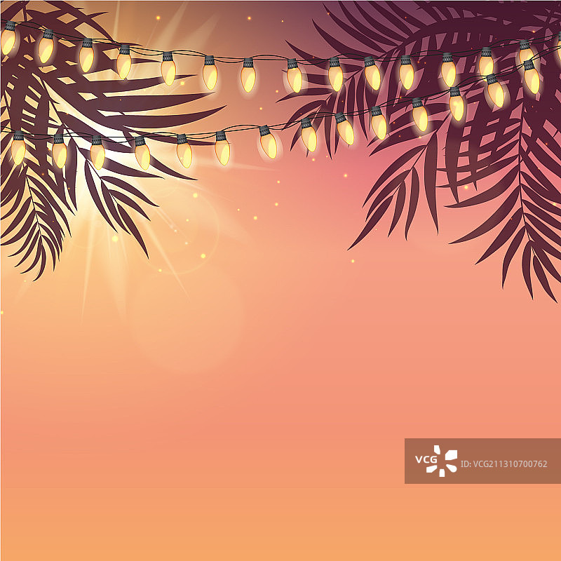 夏日假日设计夕阳与棕榈叶图片素材