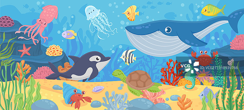 水下海洋生物，海豚，珍奇鱼类和图片素材