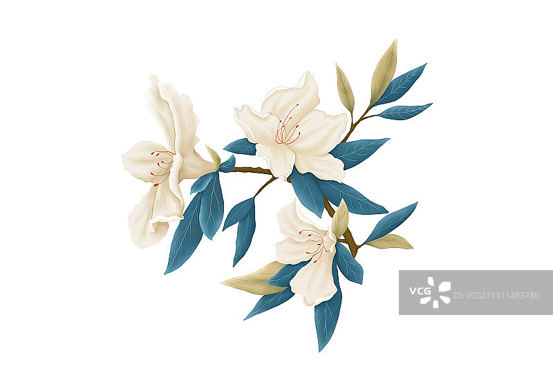 手绘卡通古典中国风植物花卉插画图片素材