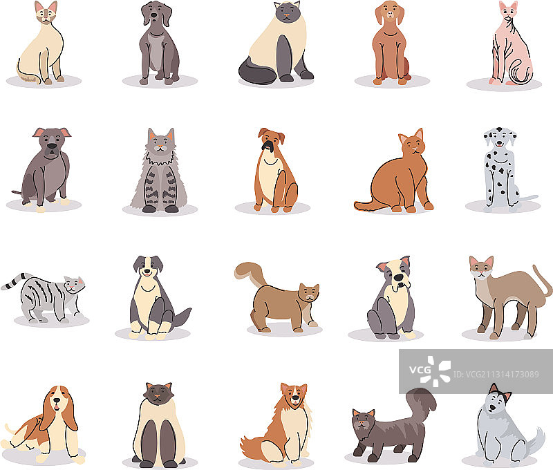 设置宠物不同品种的狗和猫图片素材