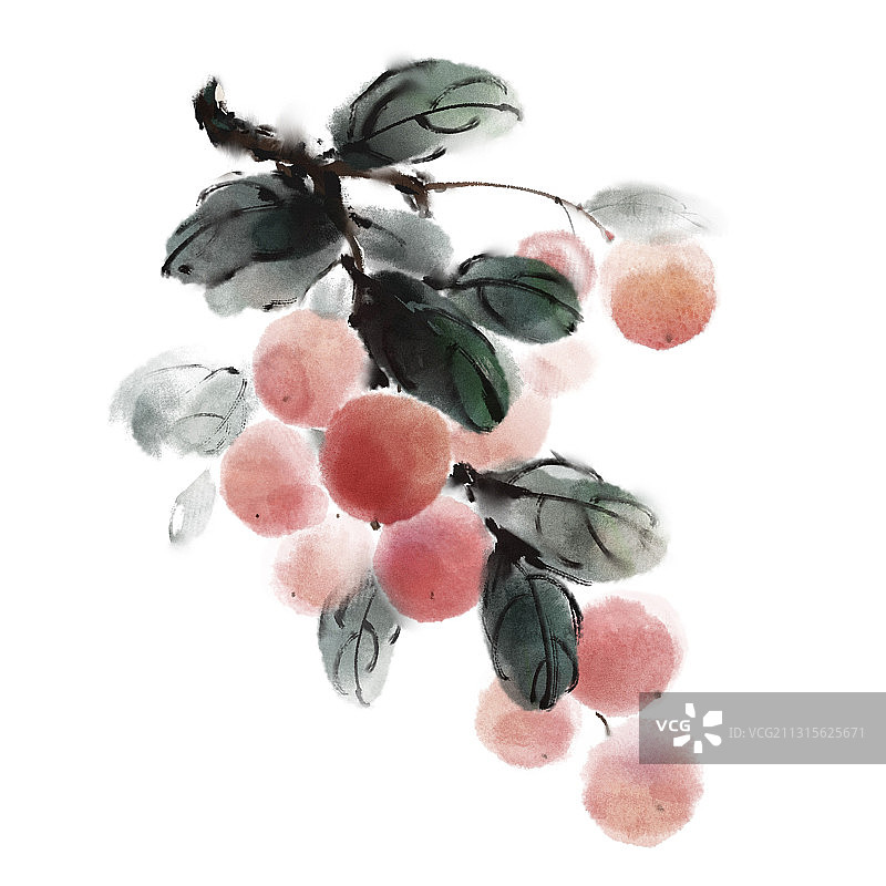 中国风古风水墨写意水果插画 白底——樱桃图片素材