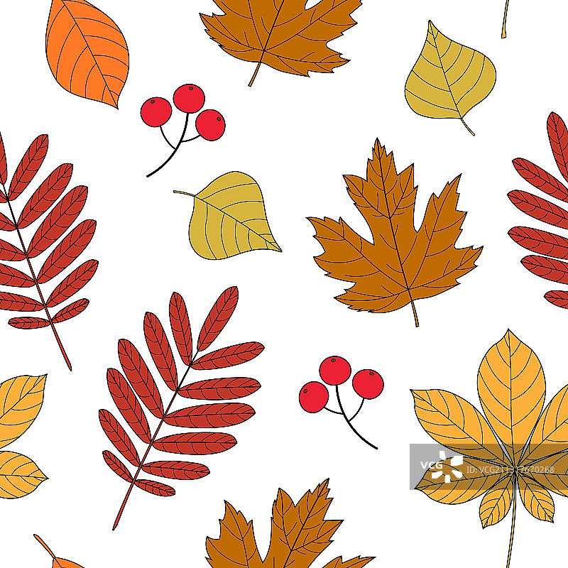 无缝图案的秋叶上一片白色图片素材