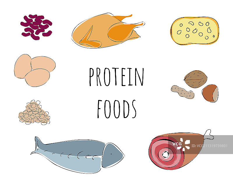 搭配蛋白质食物放在白色的盘子上图片素材