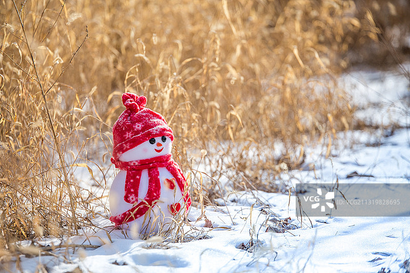 雪地荒草旁的可爱雪人图片素材