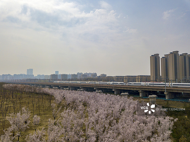 河南郑州：开往春天的高铁列车户外风光航拍图片素材