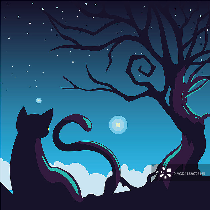 万圣节背景与猫在黑暗的夜晚图片素材