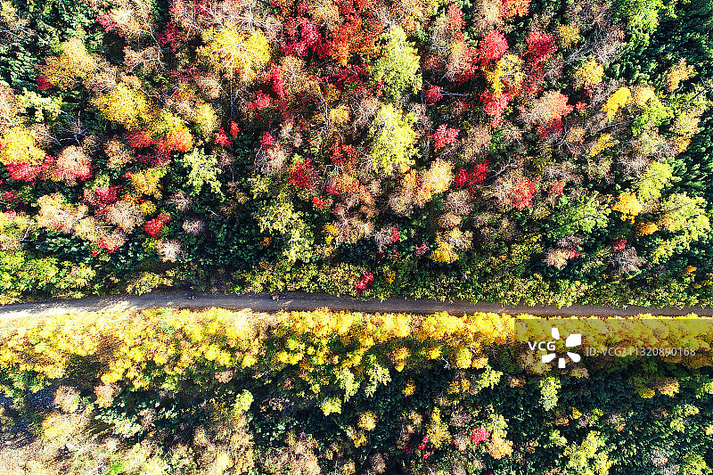 大兴安岭秋季彩色林海山路风景图片素材