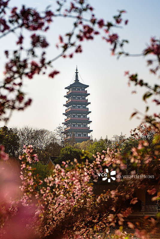 春季的江苏省扬州市的大明寺栖灵塔图片素材