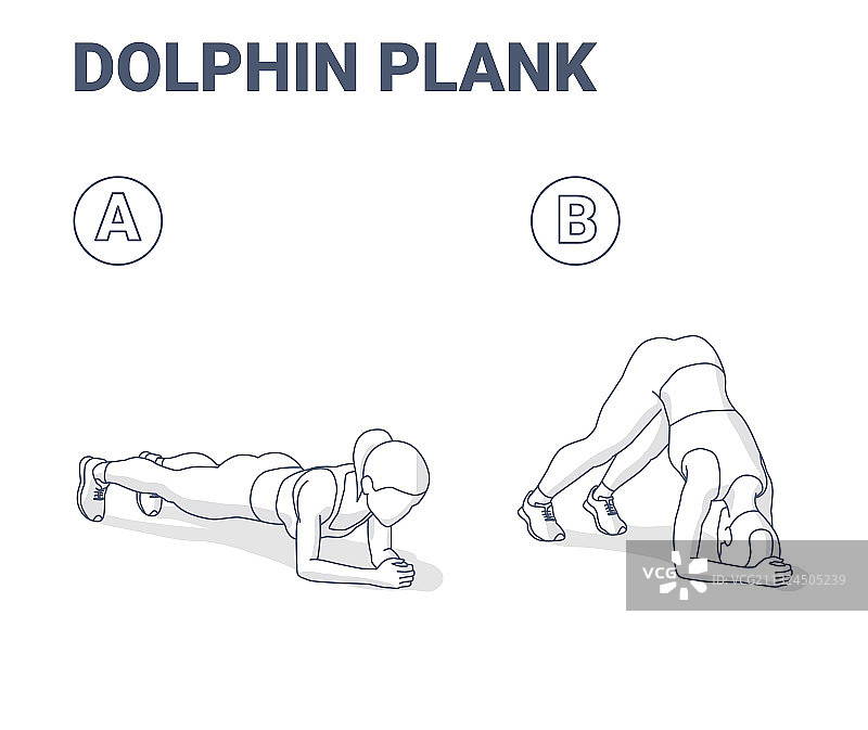 海豚平板支撑女性家庭健身锻炼指南图片素材