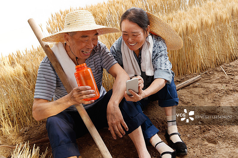 农民夫妇坐在麦田里用手机视频图片素材