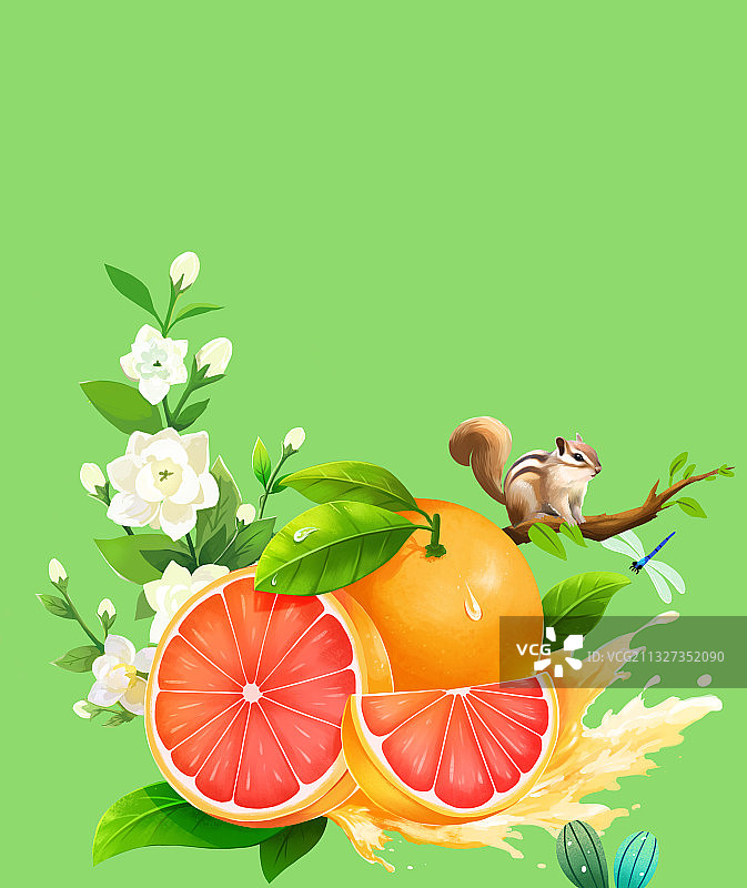 橙子茉莉花插画图片素材