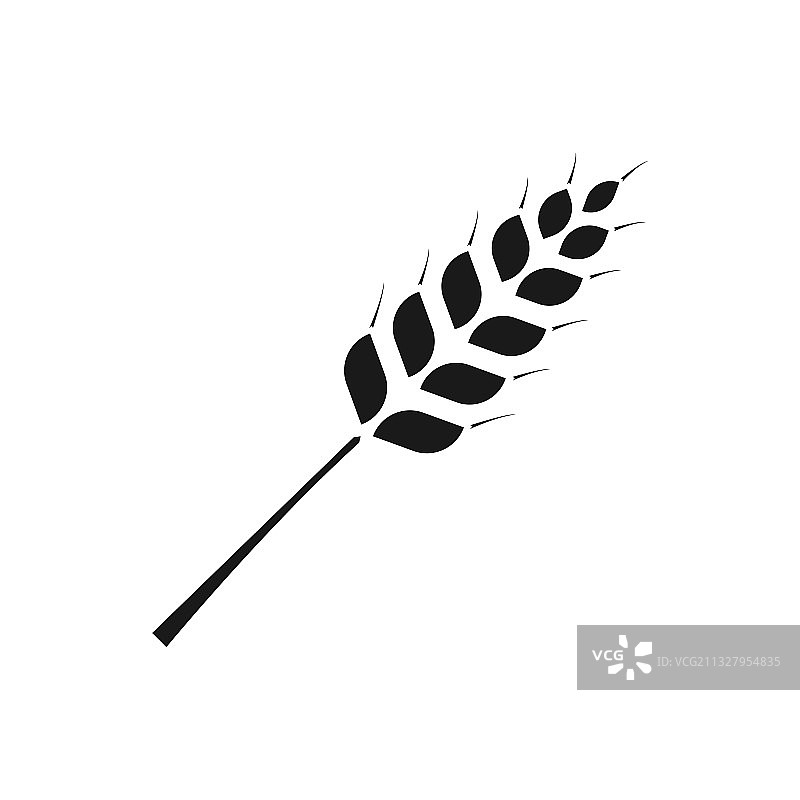 穗，小麦，大麦或黑麦视觉图形图片素材