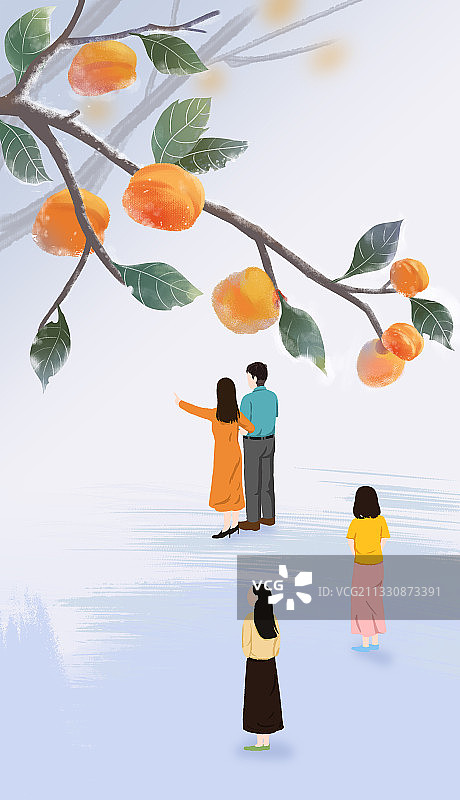 冬天柿子节日节气立冬氛围插画图片素材
