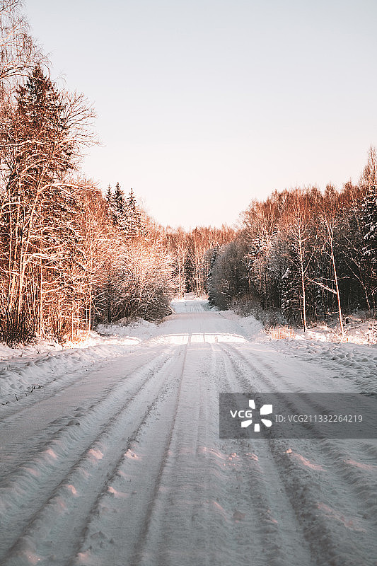 在拉脱维亚的冬天，树木中间空荡荡的道路，映衬着晴朗的天空图片素材