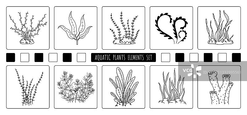 抽象手绘水生植物元素图片素材