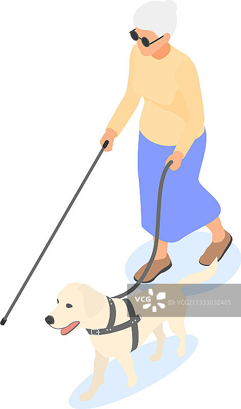 拿着手杖和导盲犬的盲老妇人图片素材