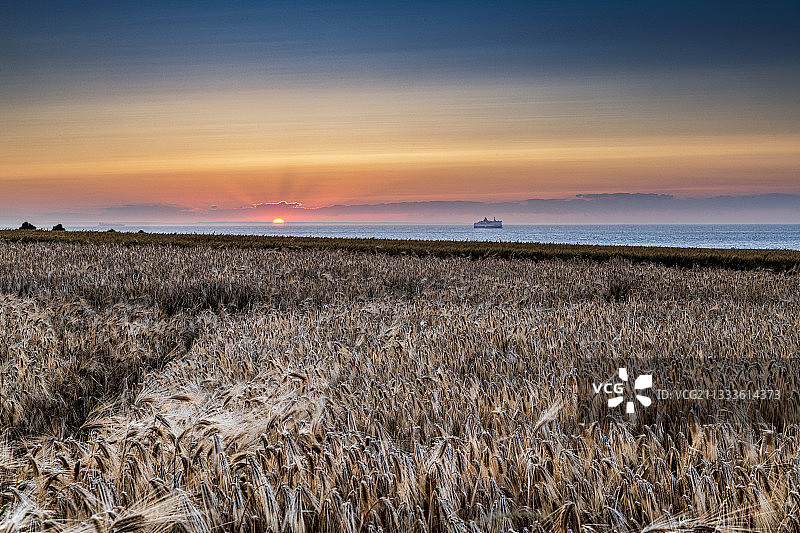 夕阳下的麦田，桑加特，法国上法国图片素材
