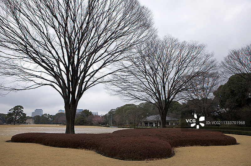 日本东京的皇宫花园图片素材