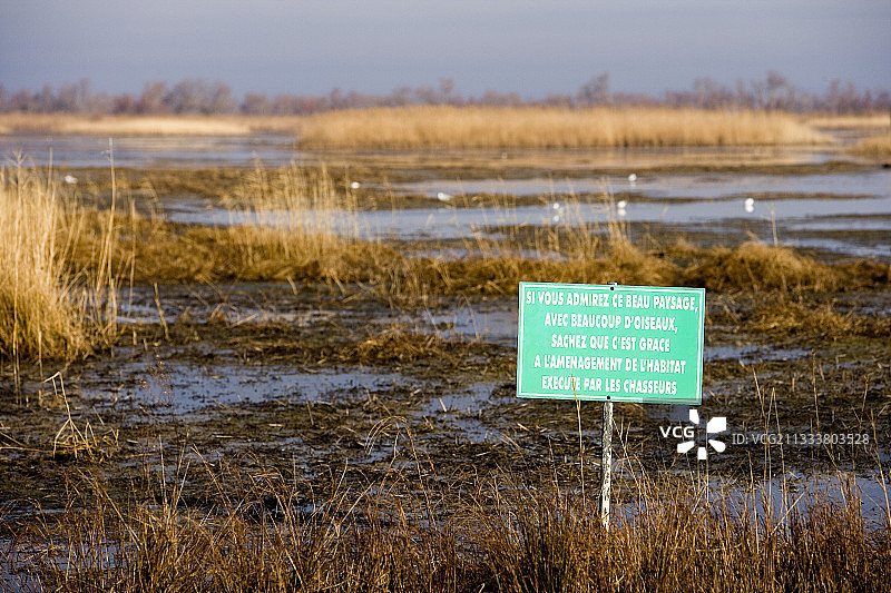 沼泽前面的指示板图片素材