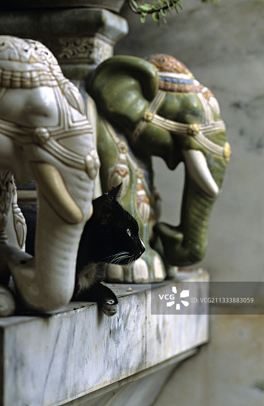 猫躺在泰国曼谷的大象雕像之间图片素材