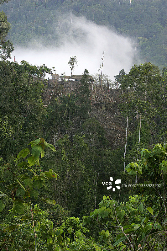 日期:2006年2月和6月<br/>陶巴图族自1978年以来，其发现震惊了科学界。他们住在南部巴拉望岛的森林遗迹里，雨季时住在洞穴里的避风塘里。夏天的时候，他们在踩高跷，练习刀耕火种。这种被200到300人所共享的万物有灵论文化正受到森林砍伐的威胁。图片素材