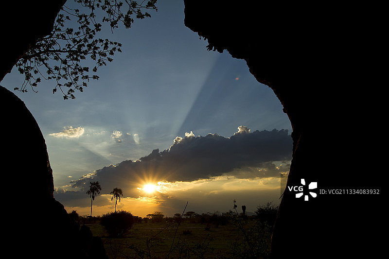 夕阳从坦桑尼亚Ruaha的一棵中空猴面包树内图片素材