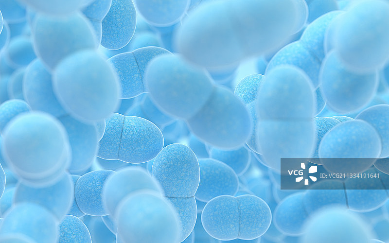 蓝色背景下的细菌 3D渲染图片素材