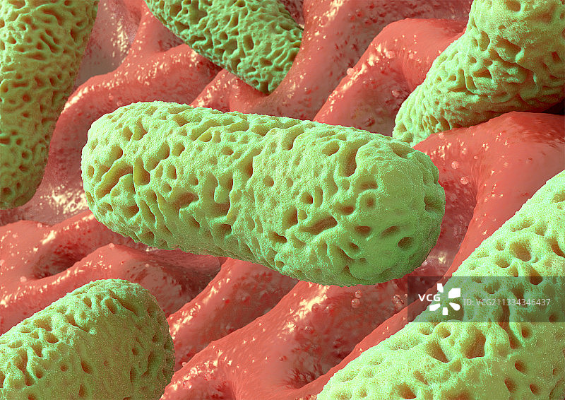 杆状细菌,艺术品图片素材