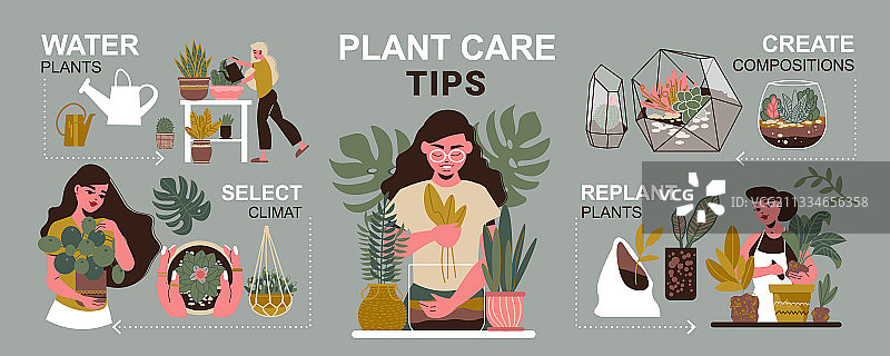 爱护植物信息图图片素材