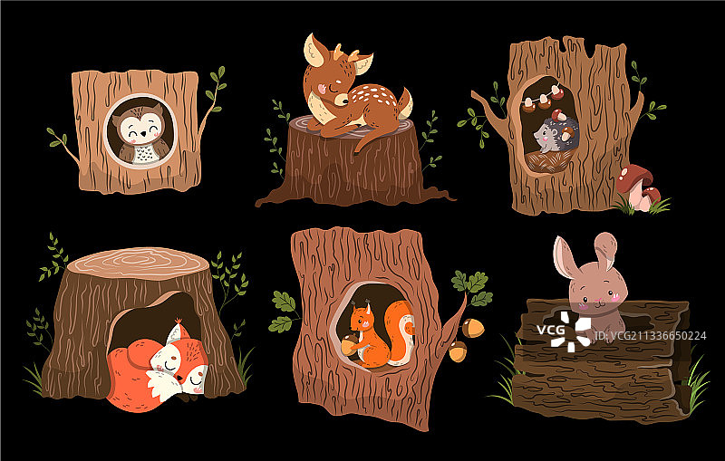 设置6可爱的森林动物在树上或树上图片素材