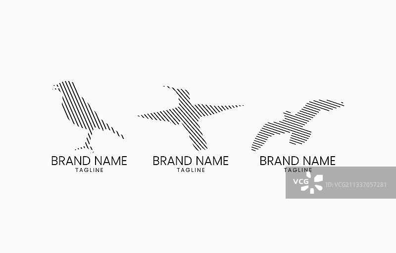 鸟纹图案标志设计模板图片素材
