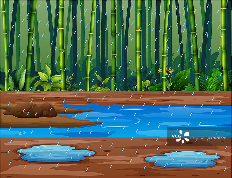 雨季竹林图片素材