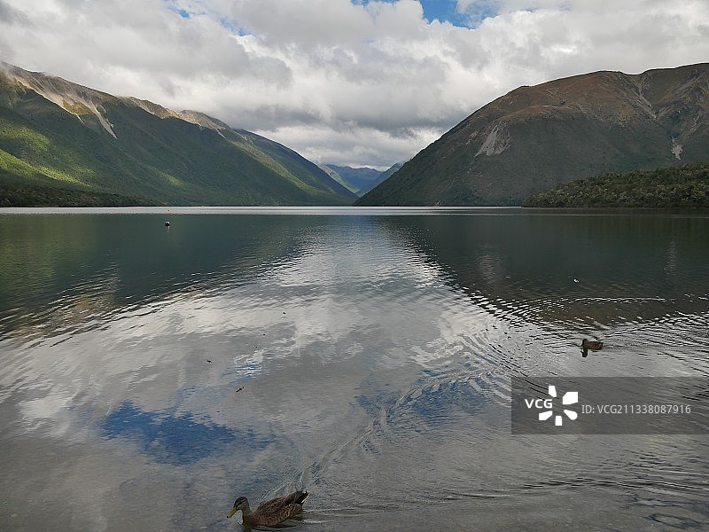 新西兰纳尔逊湖国家公园，山清水秀的湖景图片素材