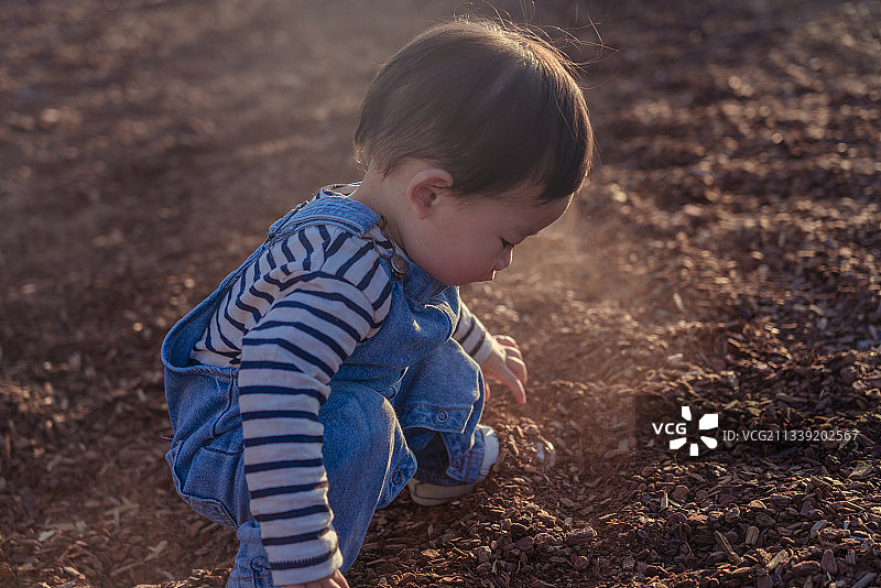 蹲在沙坑玩砂粒的小男孩图片素材