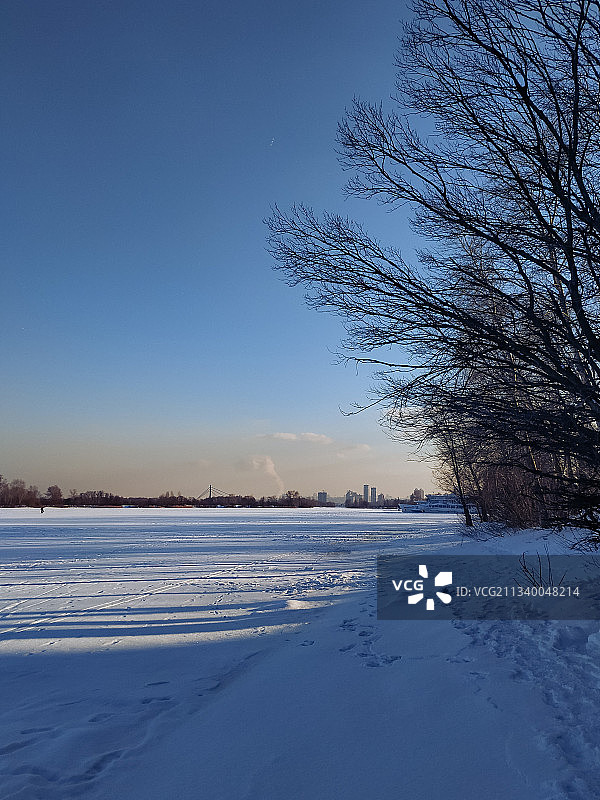 乌克兰，白雪覆盖的田野在晴朗的天空下的风景图片素材
