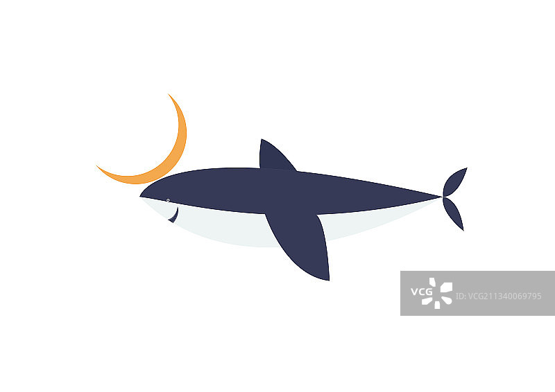 鲨鱼矢量插画图片素材