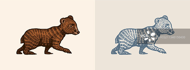灰熊小熊在复古风格棕色野生图片素材