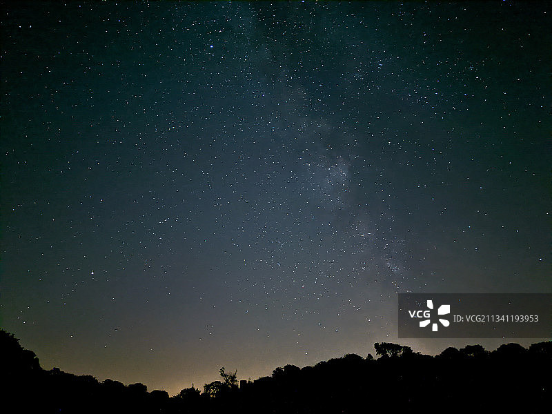 低角度的剪影的树木在夜晚的星空，古尔湖，爱尔兰图片素材