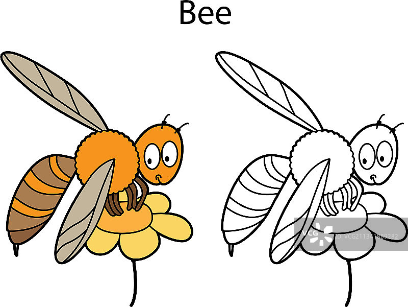有趣可爱的昆虫蜜蜂孤立在白色上图片素材
