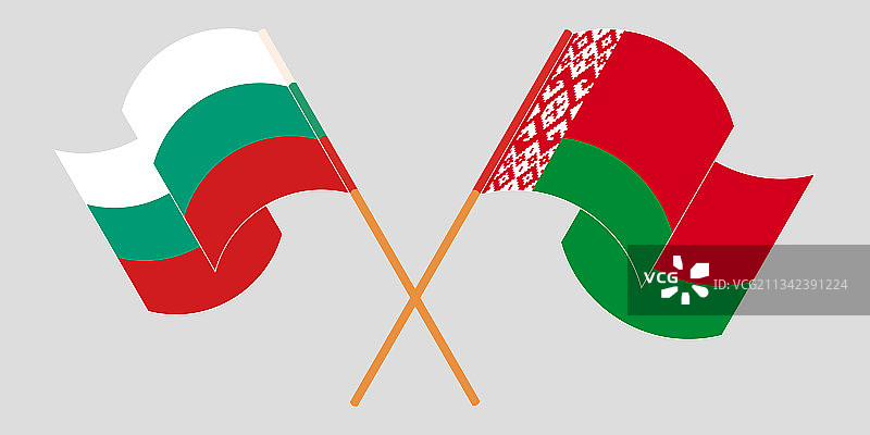 白俄罗斯和保加利亚国旗交叉并飘扬图片素材