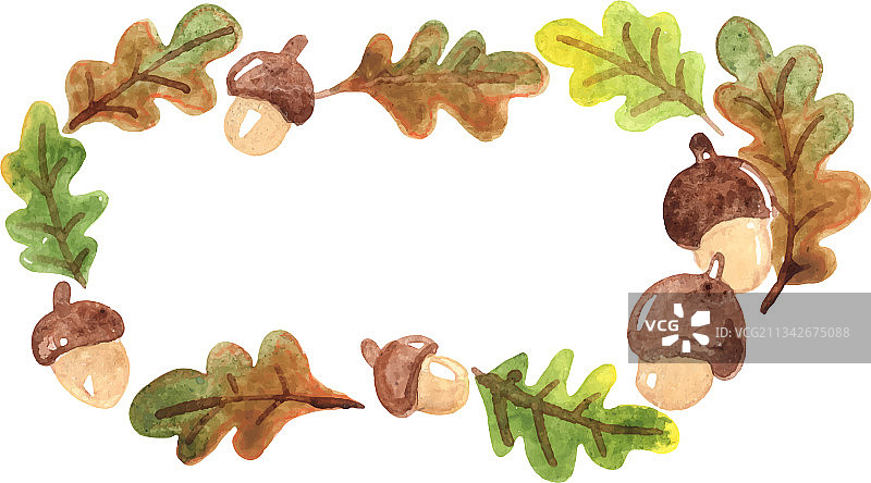 橡树叶子和橡树种子框架水彩画图片素材